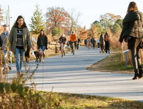 Atlanta Bicycle Safety Overview: Infrastructure and Crash Stats